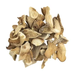 ENIGMA | ShroomCo Magic Mushrooms (EXOTIC)