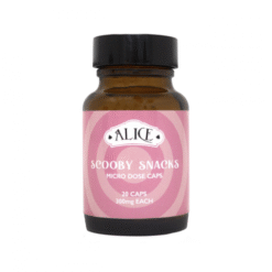 Alice Microdose SCOOBY SNACKS (6000mg Golden Teacher)