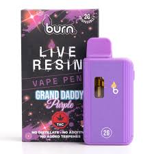 BURN Disposable Vapes (2g THC)