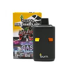 BURN Dual Chamber Disposable Vapes (6g THC)