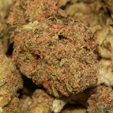 Pie In The Sky | $59/Oz | SPEED SPECIAL