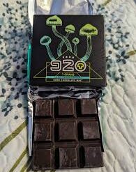 MOTA Room 920 Mushroom | Mint Dark Chocolate Bar (3000mg Golden Teacher)
